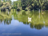 Issoire Plan d'eau Mas 12.jpg